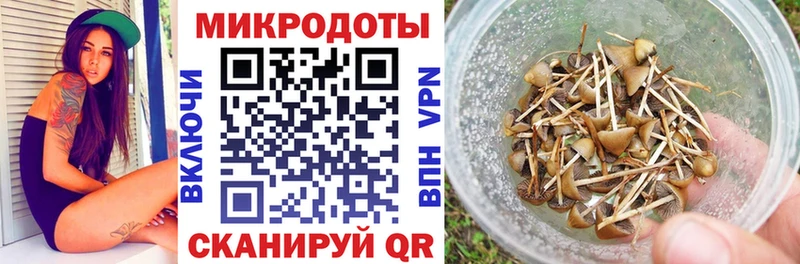 закладки  Ивантеевка  Галлюциногенные грибы GOLDEN TEACHER 
